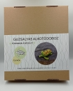 Teknős - alkotódoboz